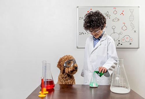 Boyand dog doing a science experiment