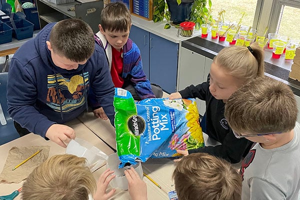Dig into Learning