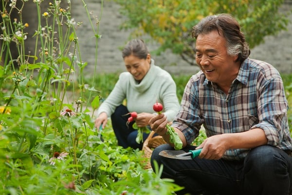 Gardening