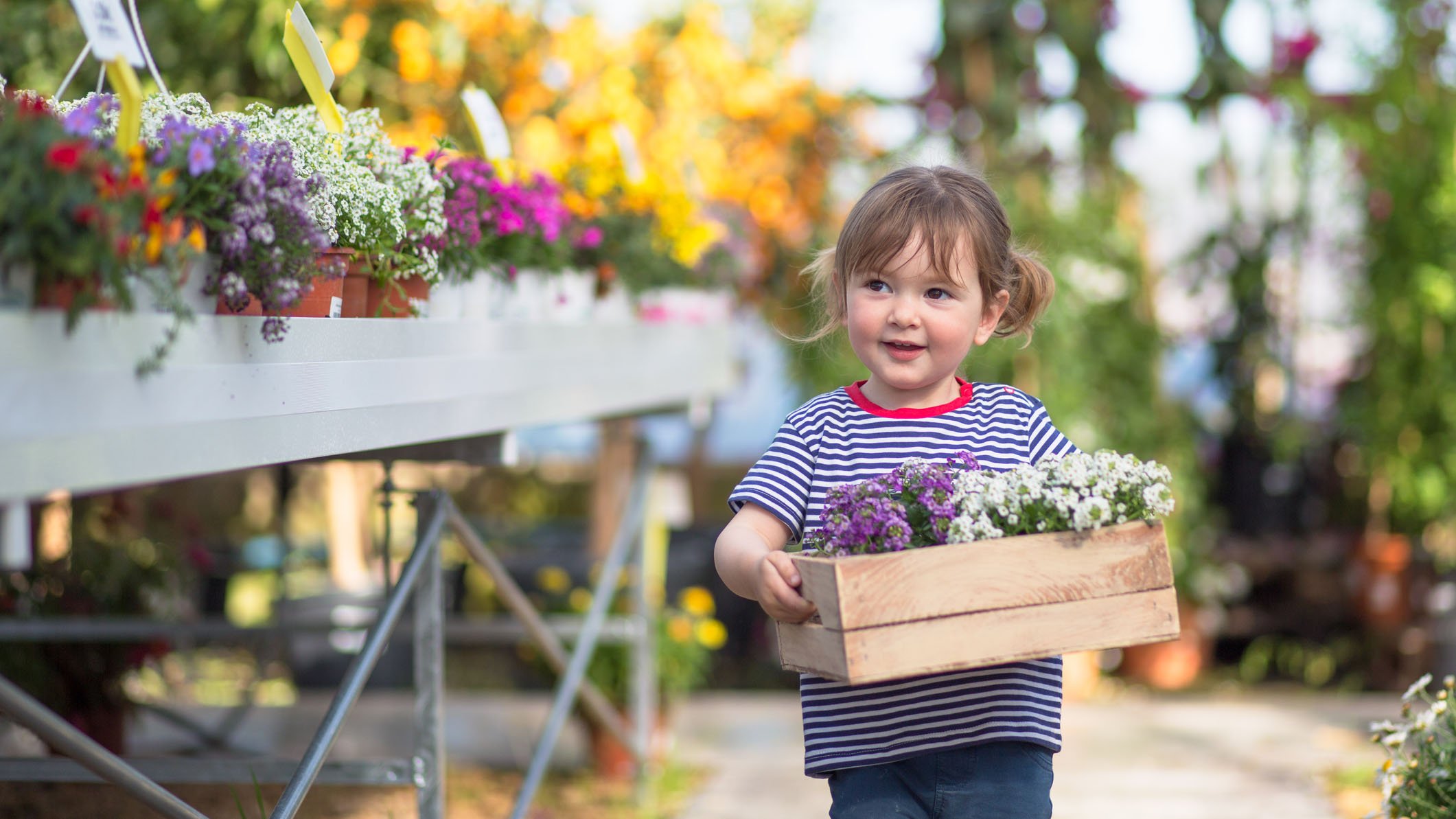 A young girl hold a box of flowers