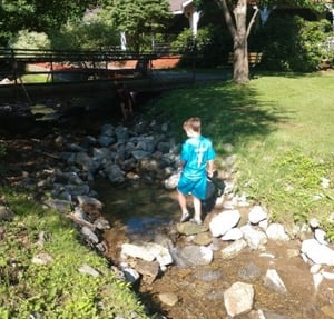 Stream at Alameda Park