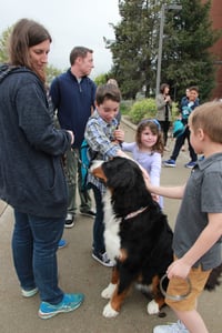 service dog2